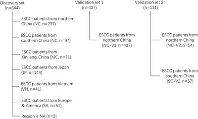 Comparative genomic analysis of esophageal squamous cell carcinoma among different geographic regions